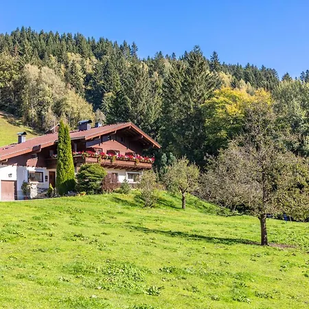 Ferienhaus Berger Mittersill Exterior photo