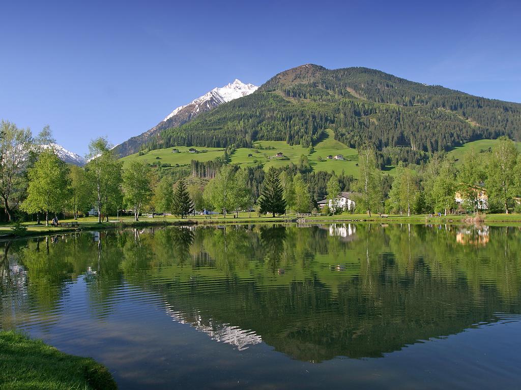 Berger Homestay