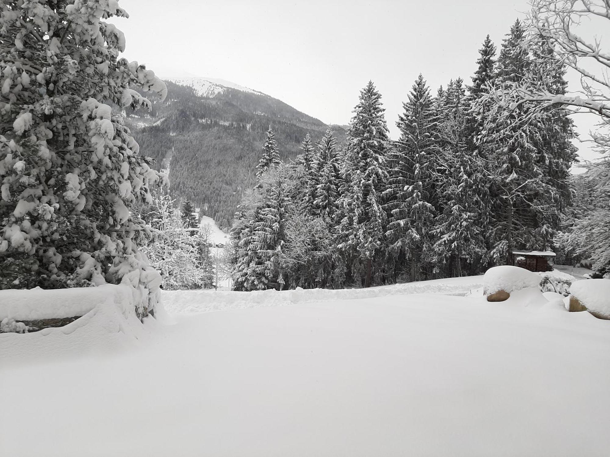 Berger Homestay Mittersill